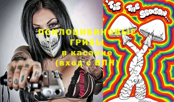 мдпв Корсаков